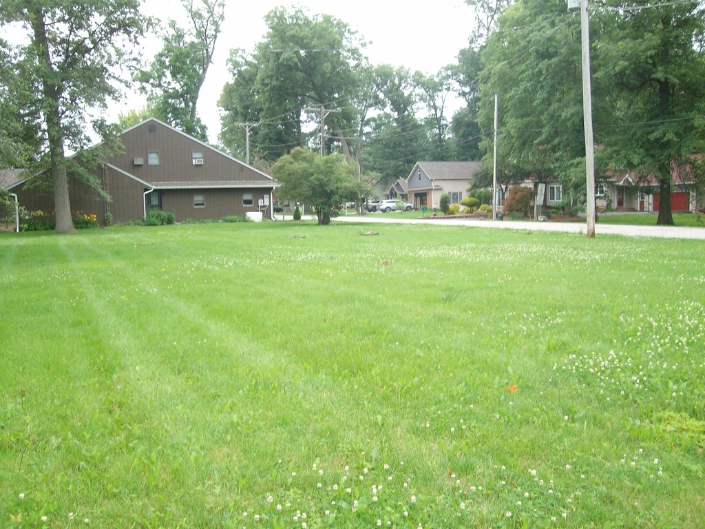 Picture 5