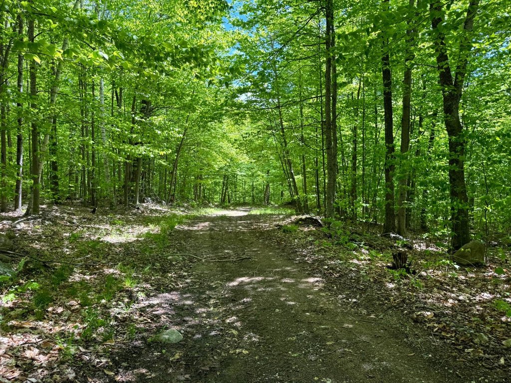 Picture 7