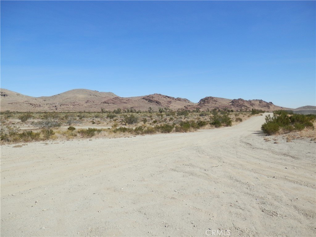 Picture 10