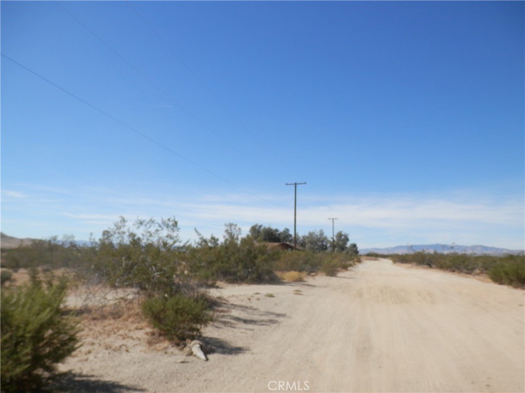 Picture 8