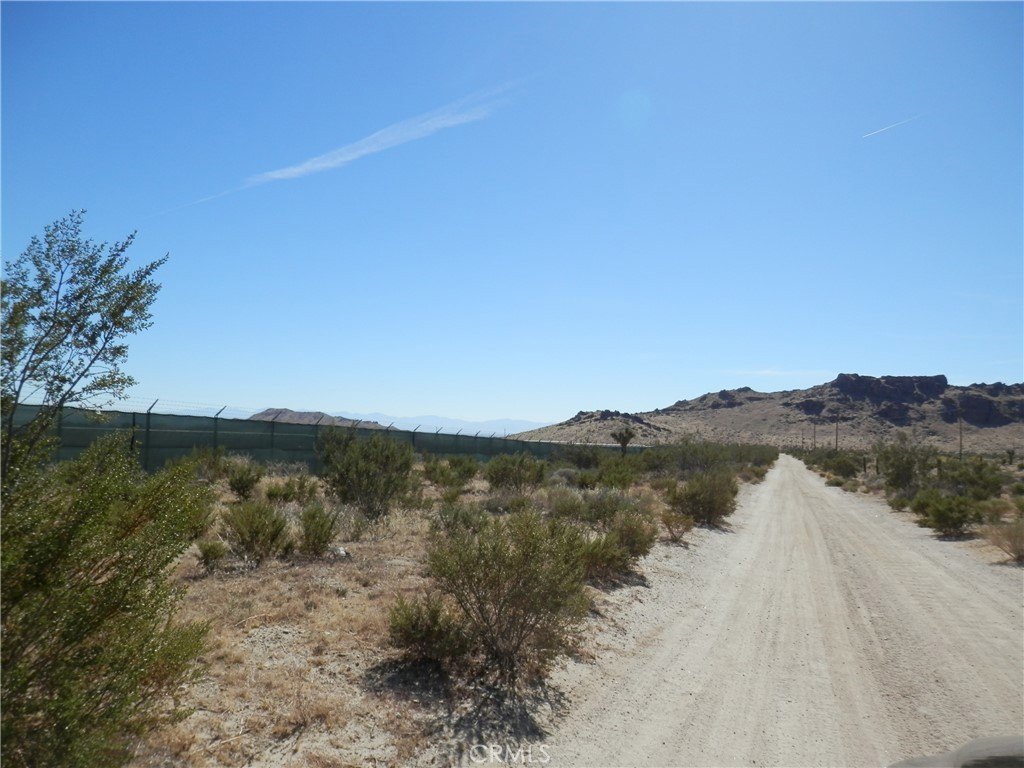 Picture 11