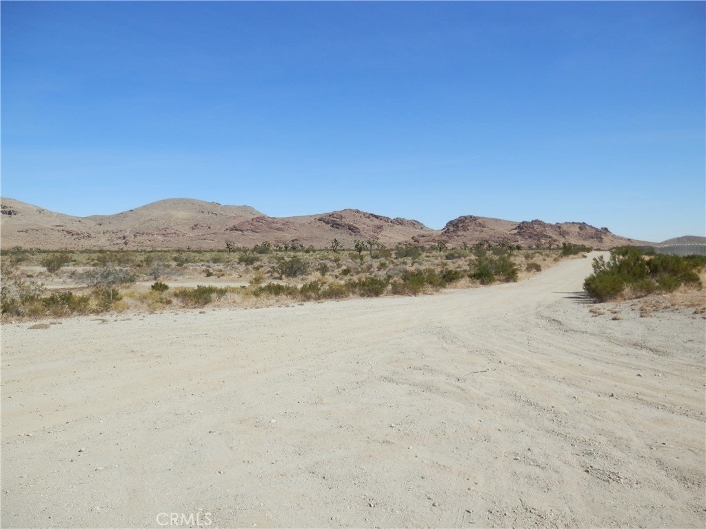 Picture 10