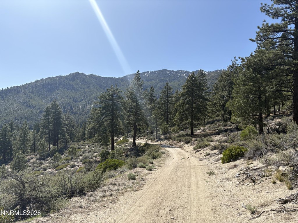Picture 24