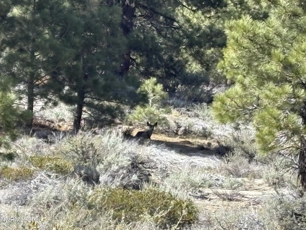 Picture 27