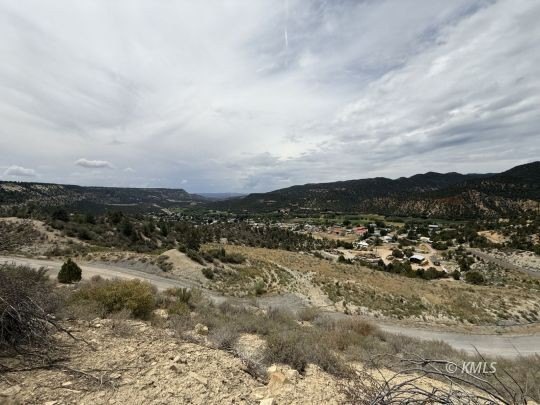 Picture 29