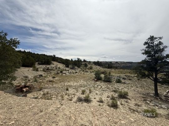 Picture 47