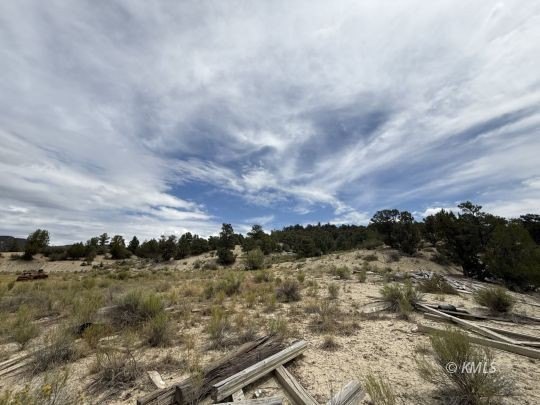 Picture 37