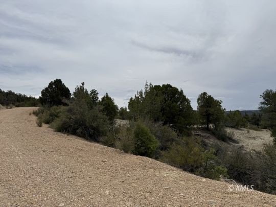 Picture 50
