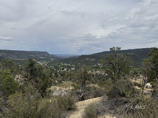 Picture 27