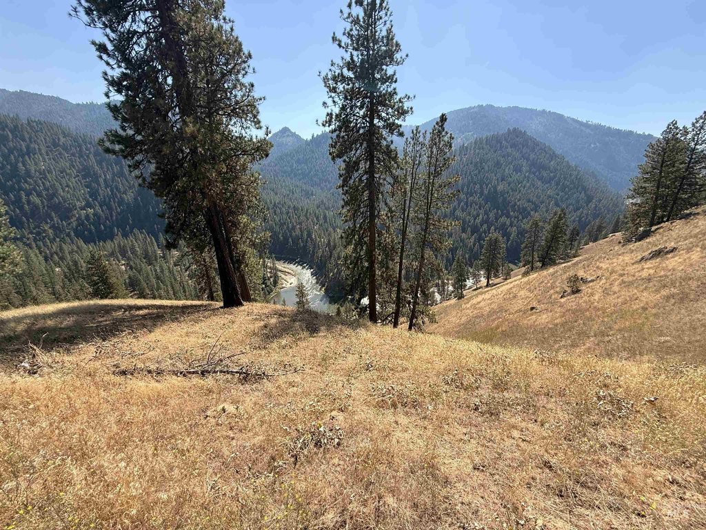 Picture 16
