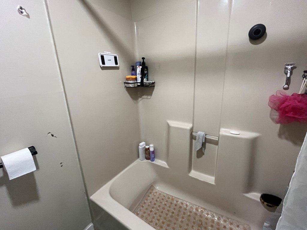 Picture 46