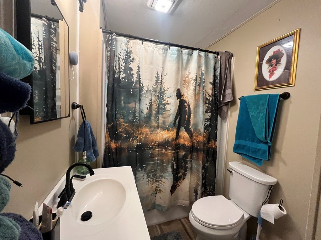 Picture 17