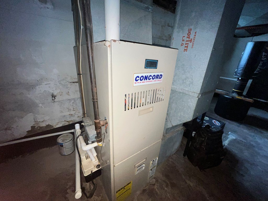 Picture 48