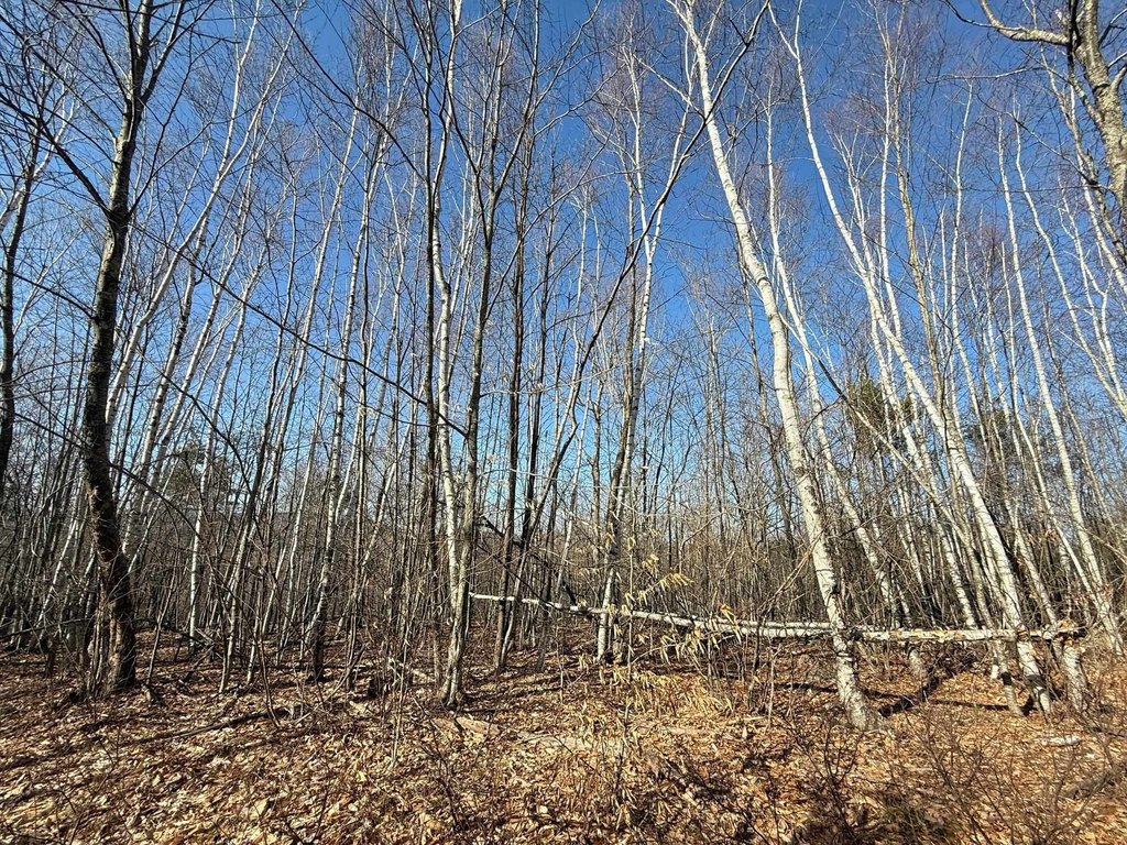 Picture 17