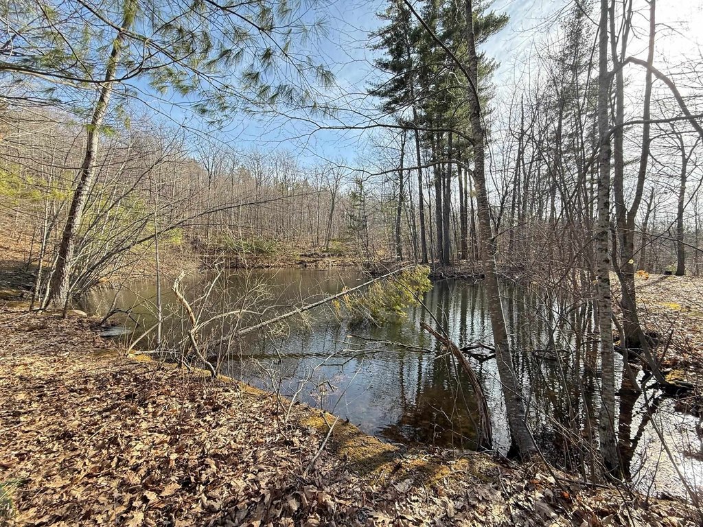 Picture 20