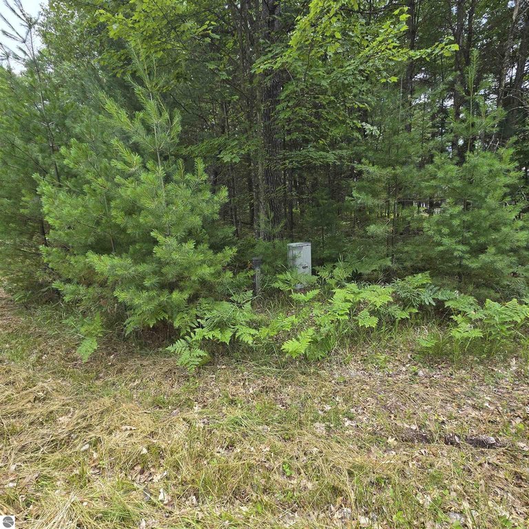 Picture 4