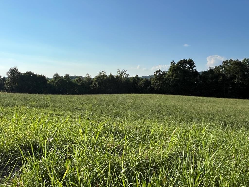 Byrdstown, TN Lake View Lot