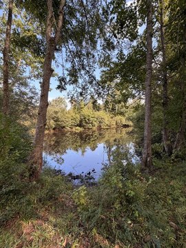 Hunting Land with Ponds