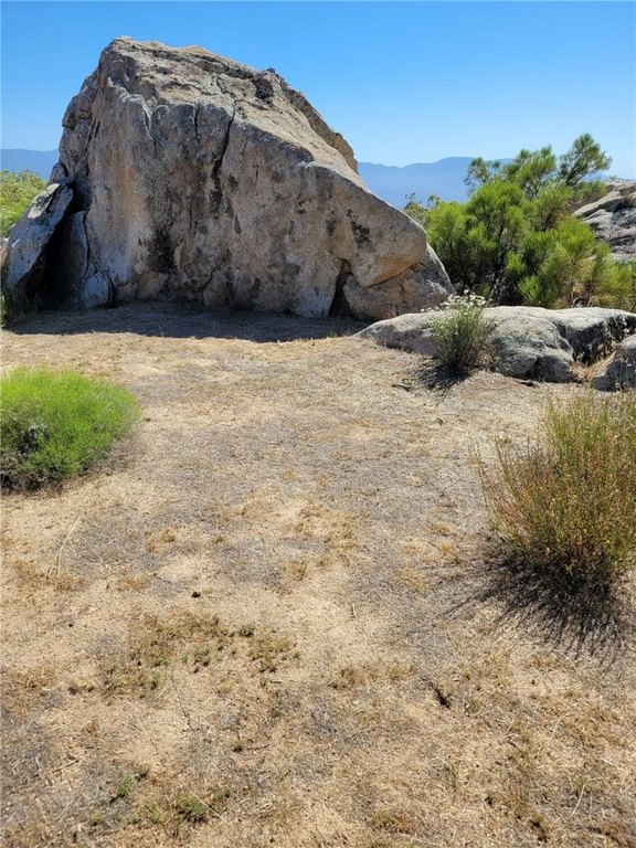 Picture 3