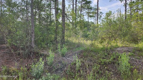 LAND - Southport, NC