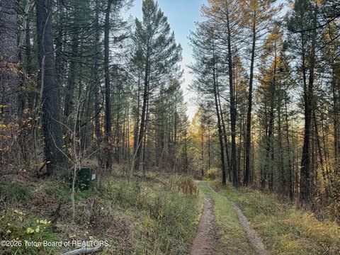 Land, Tetonia, ID
