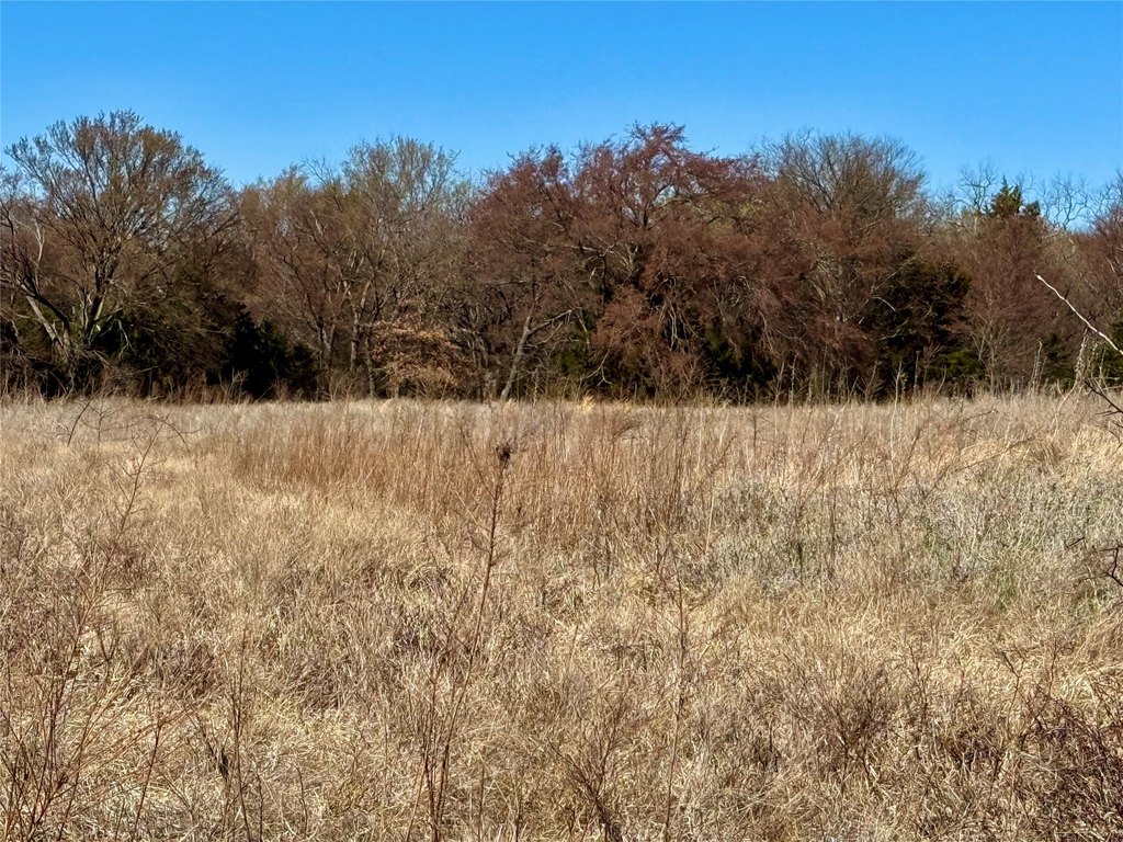 Picture 17
