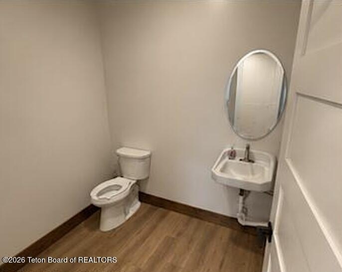 Picture 24