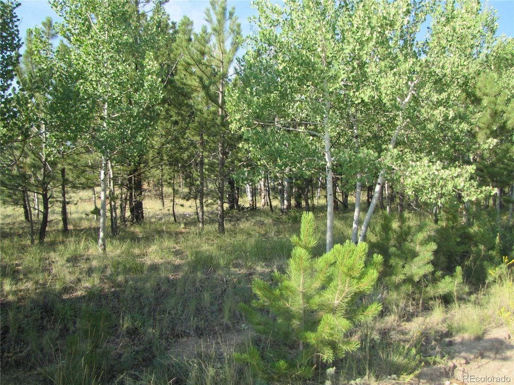 Picture 25