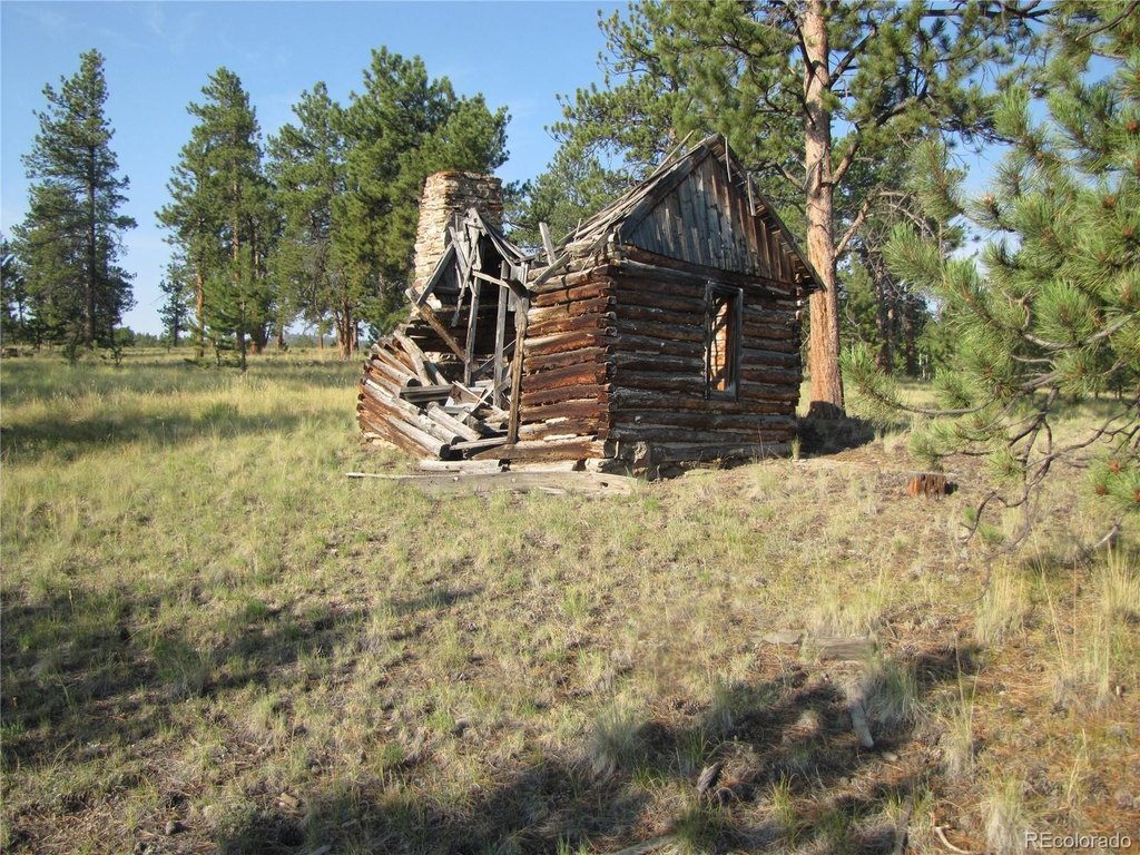 Picture 13