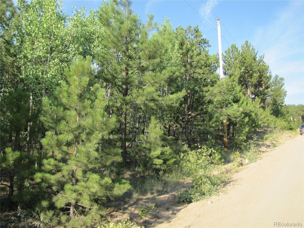 Picture 26