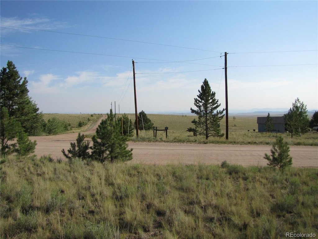 Picture 23