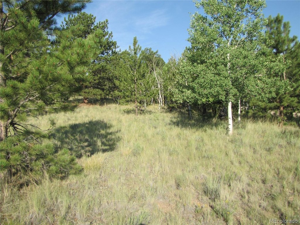 Picture 22