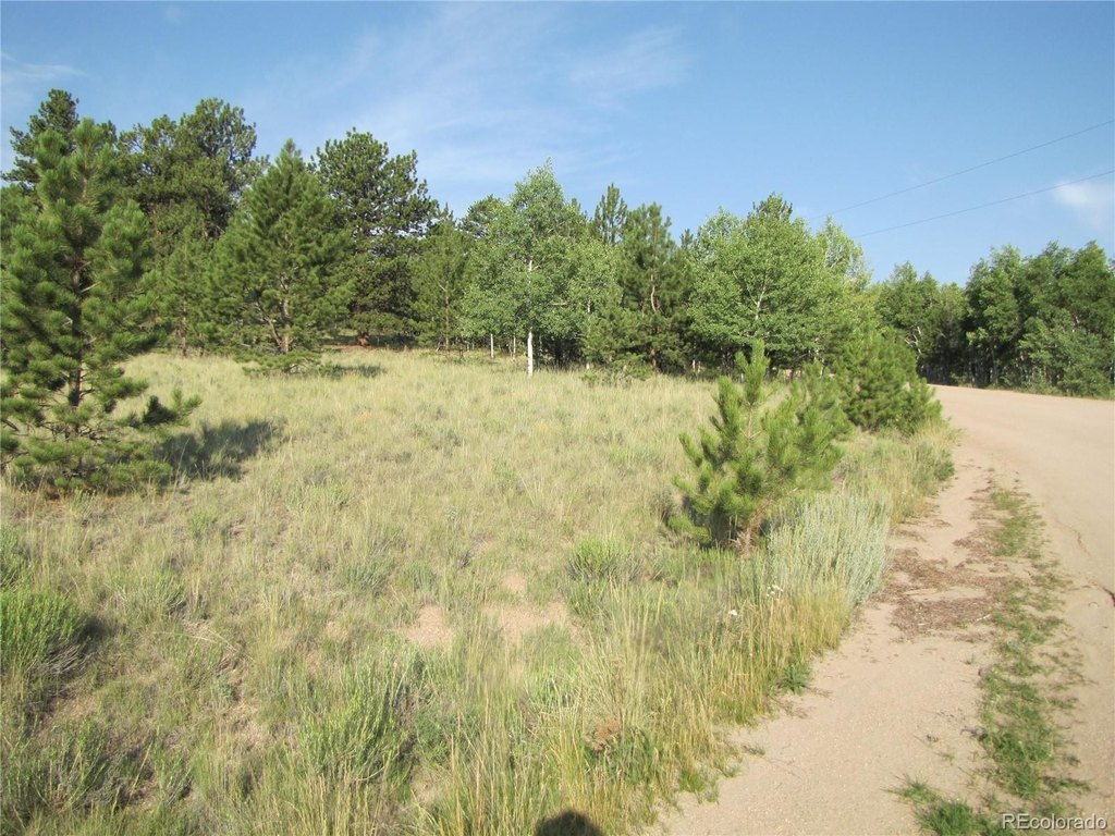 Picture 19