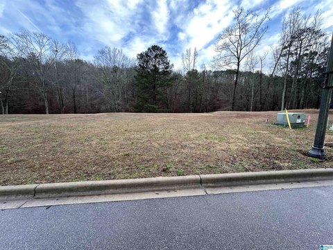 LAND - TRUSSVILLE, AL
