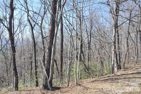 Land, Marion, NC