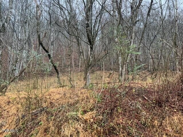 Abingdon, VA Wooded Acreage