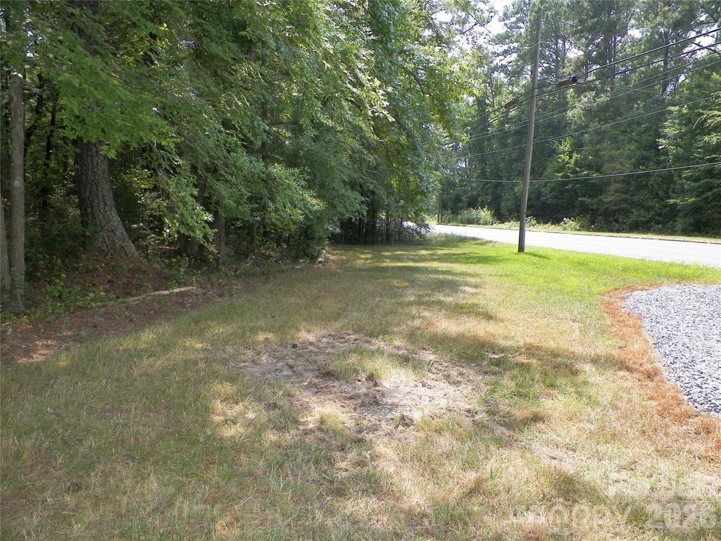 Picture 25