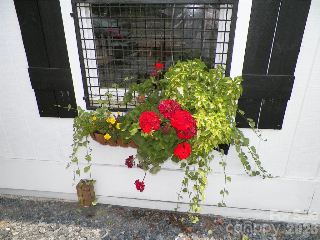 Picture 15