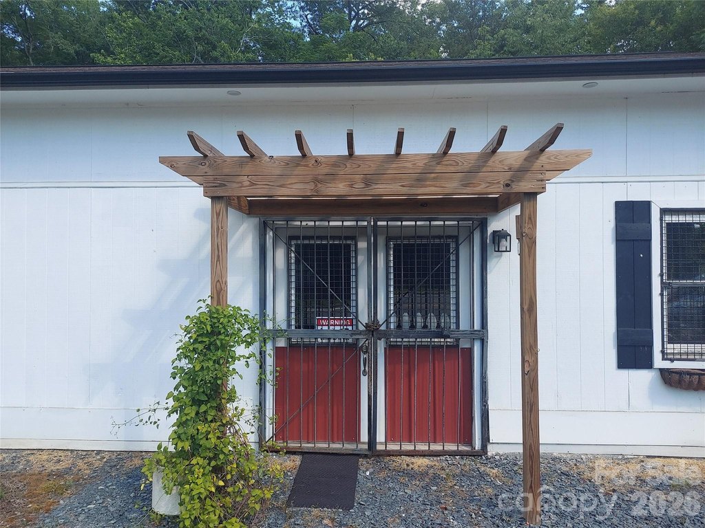 Picture 6