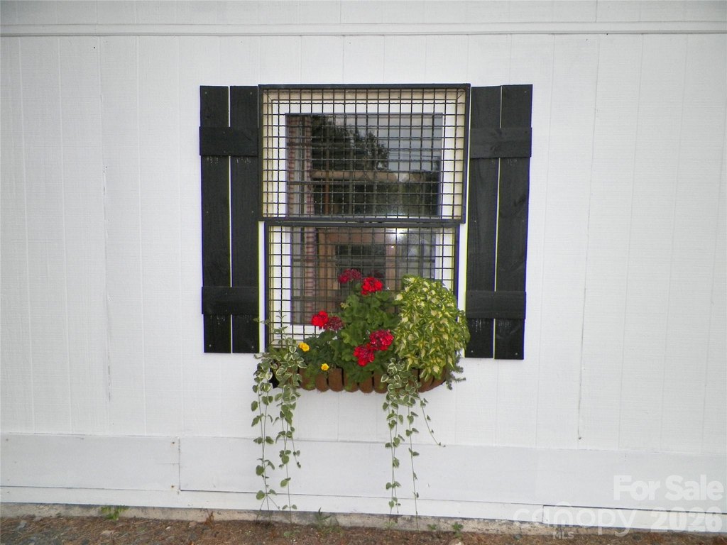 Picture 11