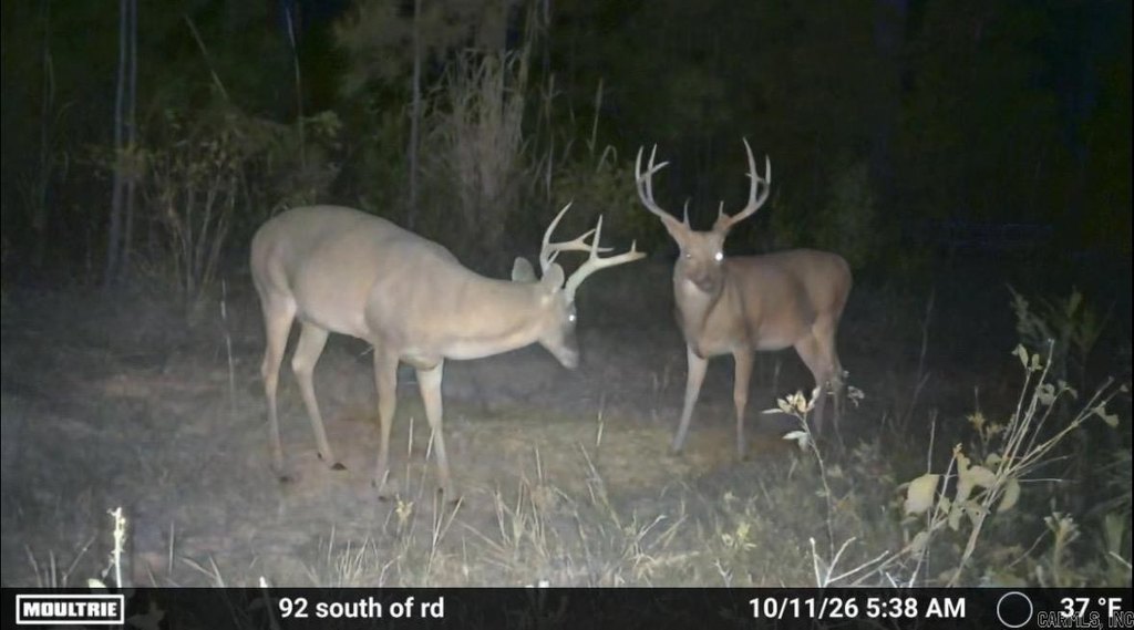 Picture 12