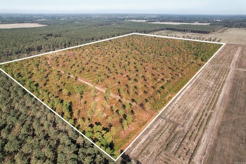 Vacant Land, Carlisle, AR