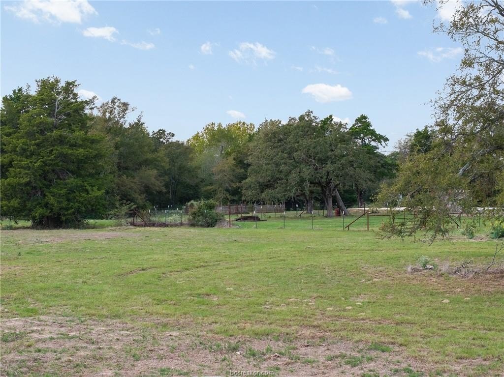 Picture 25
