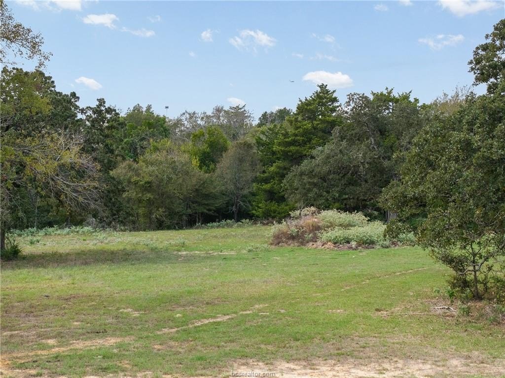 Picture 16