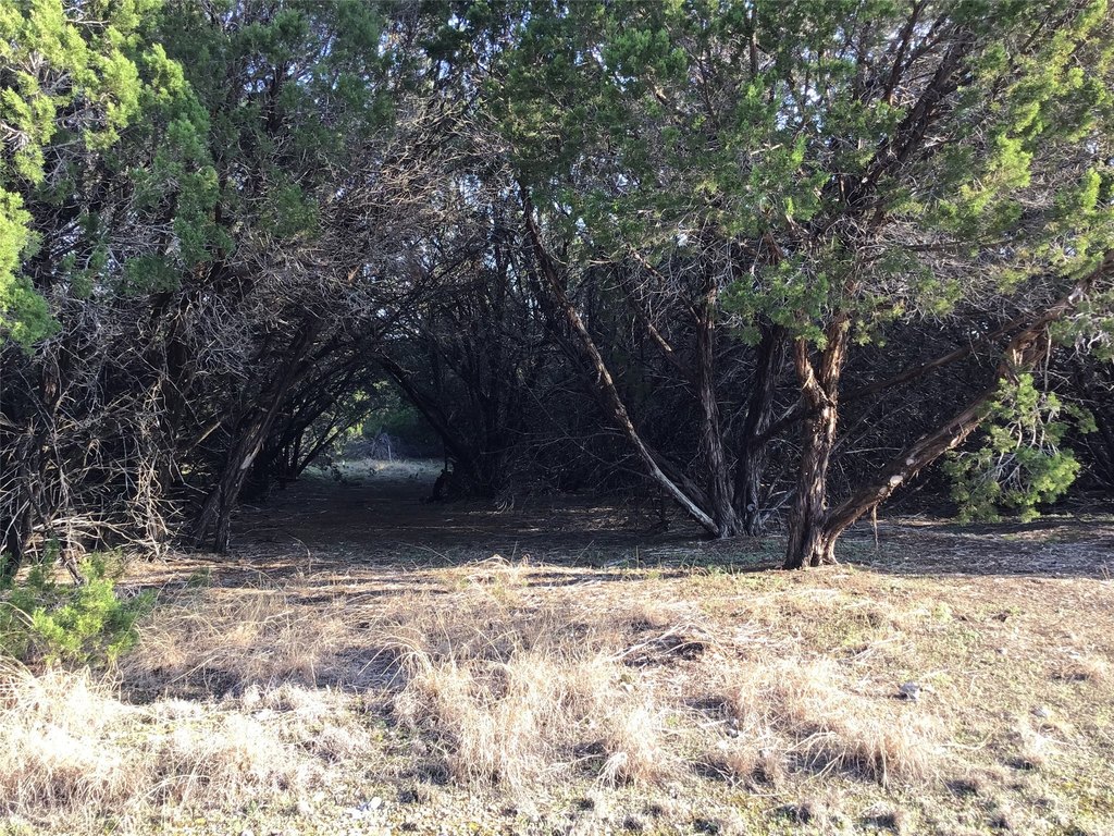 Picture 11