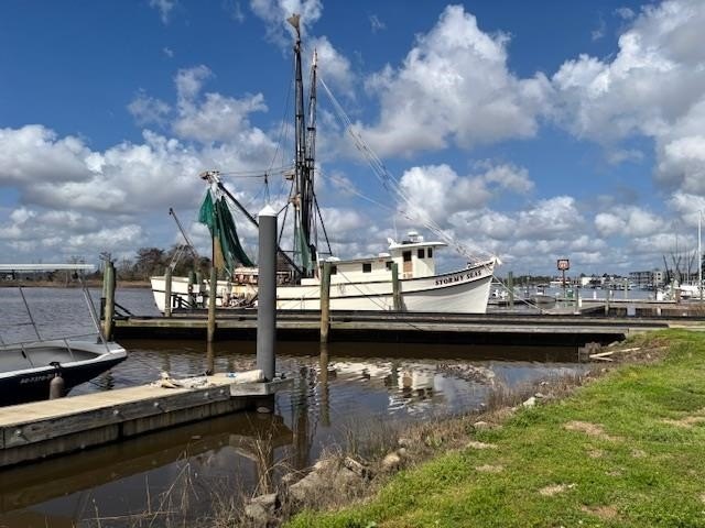 Picture 28