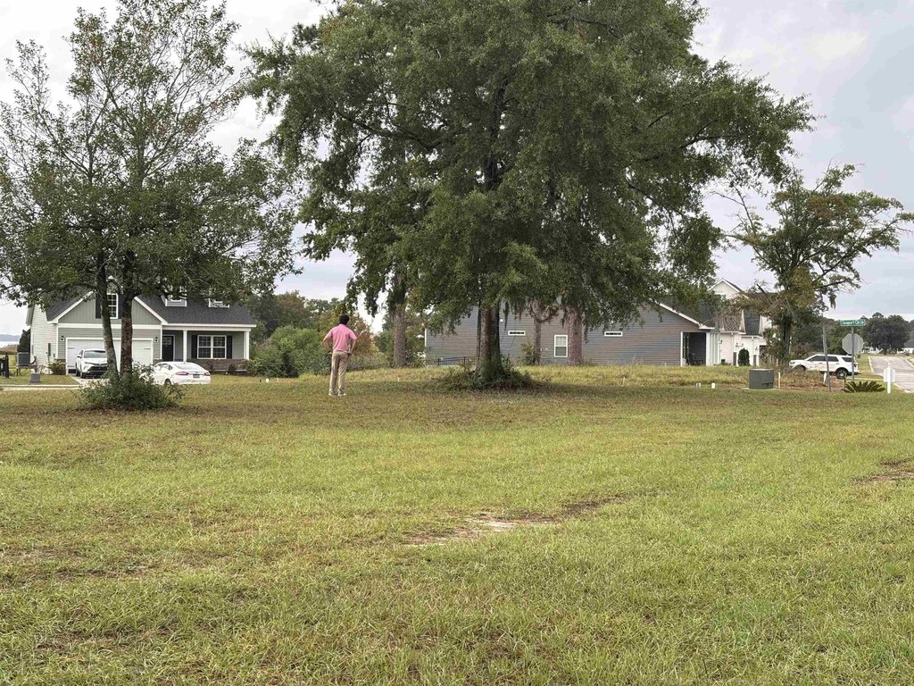 Picture 14