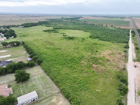 LAND - Tuscola, TX