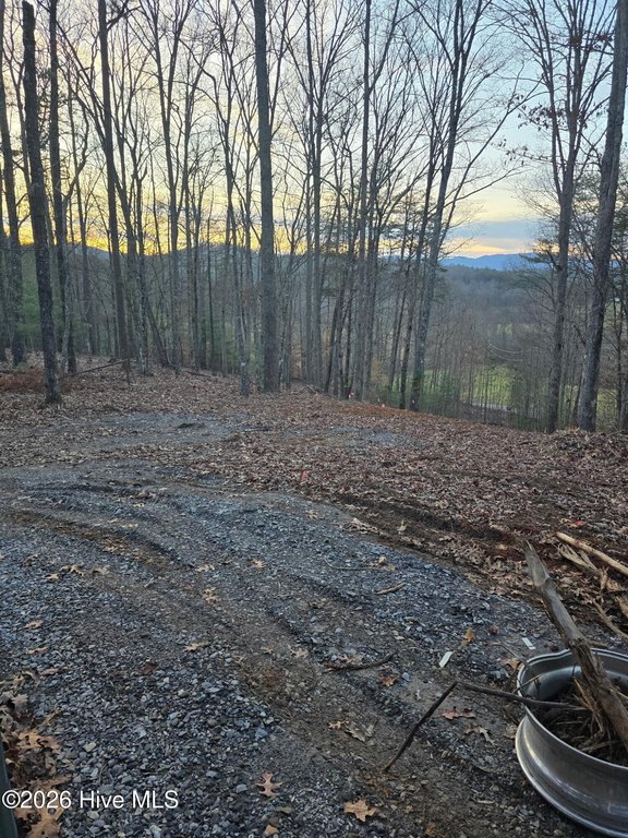 Picture 2