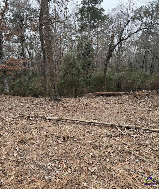 Picture 2